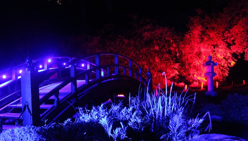 Japanese Garden during Garden Glow at Maymont. Image courtesy of Maymont for What's Booming