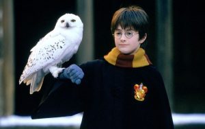 Daniel Radcliffe in the film 'Harry Potter and the Sorcerer's Stone' Image
