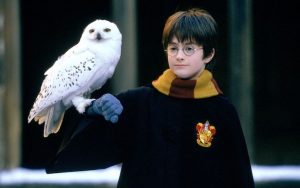 Daniel Radcliffe in the film 'Harry Potter and the Sorcerer's Stone' Image