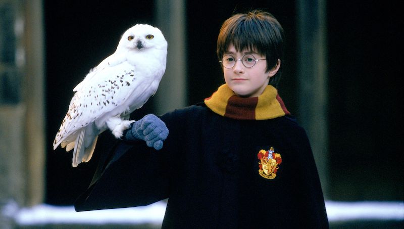 Daniel Radcliffe in the film 'Harry Potter and the Sorcerer's Stone'