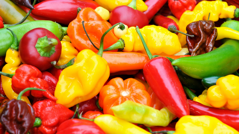 A selection of diverse chili peppers for article on Health Boost from Chili Peppers