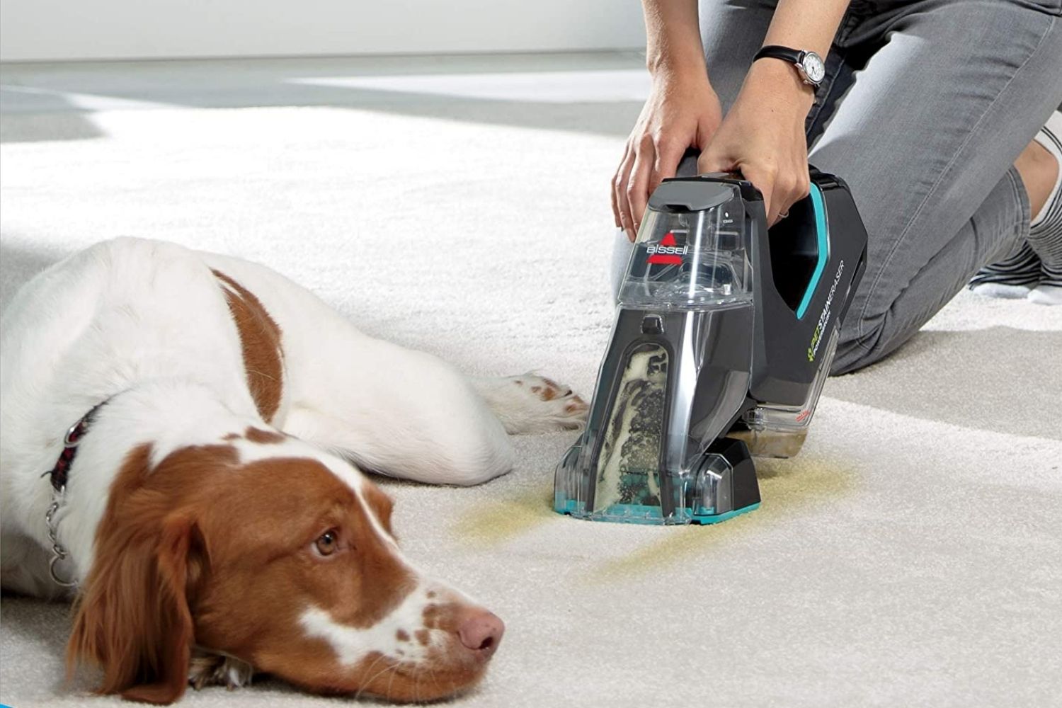 upholstery cleaner for pet owners. Bissell pet stain eraser