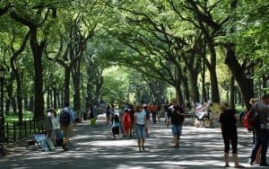 Literary Walk Central Park NYC Julie Feinstein Dreamstime. For article on Seeking a bathroom in Central Park. Image