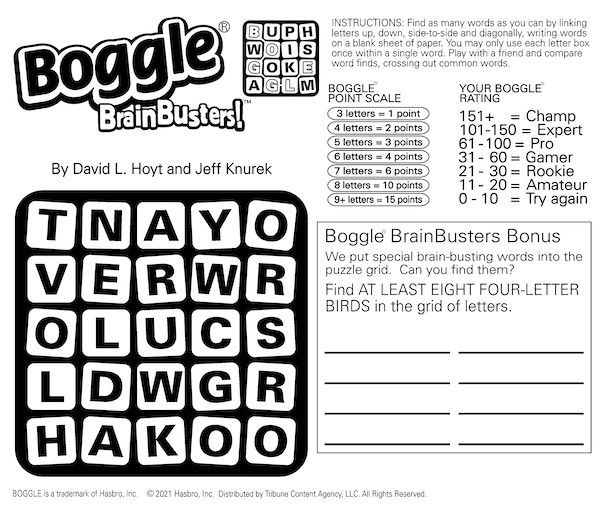 Boggle BrainBusters Bird Search puzzle