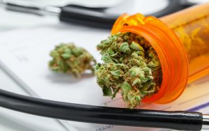 A medicine vial of cannabis leaves encircled by a stethoscope, for article answering questions about medical cannabis, which is returning to the mainstream Image