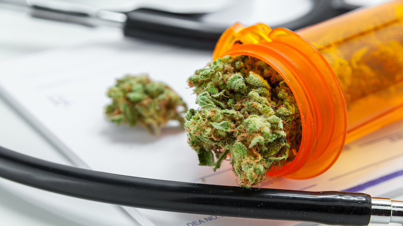 A medicine vial of cannabis leaves encircled by a stethoscope, for article answering questions about medical cannabis, which is returning to the mainstream Image