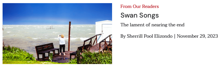 Swan Songs, by Sherrill Elizabeth Redondo