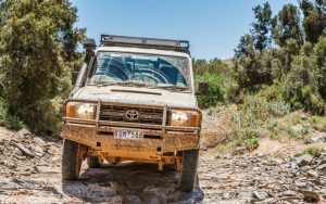 Toyota Land Cruiser drives through a dry river bed in the Arkaroola Wilderness. Image by Henk Van Den Brink, Dreamstime. For article, Matching car names to drivers, wherein Nick Thomas takes the humorous route. Image