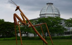 David Rogers' praying mantis sculpture at Lewis Ginter Botanical Garden. Image by Jonah Holland, Lewis Ginter. For article, Boomer writer Steve Cook talks with David Rogers and his pathway to pursuing his passion and creating his well-traveled 