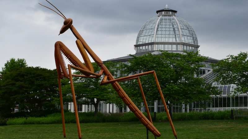 David Rogers' praying mantis sculpture at Lewis Ginter Botanical Garden. Image by Jonah Holland, Lewis Ginter. For article, Boomer writer Steve Cook talks with David Rogers and his pathway to pursuing his passion and creating his well-traveled "Big Bugs" exhibit.