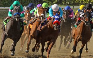 a pack of thoroughbred horses racing at the Kentucky Derby photo by Cheryl Quigley Dreamstime. Writer Nick Thomas shares his sure-fire method for not picking a Kentucky Derby winner. Learn what not to do from his tongue-in-cheek advice. Image