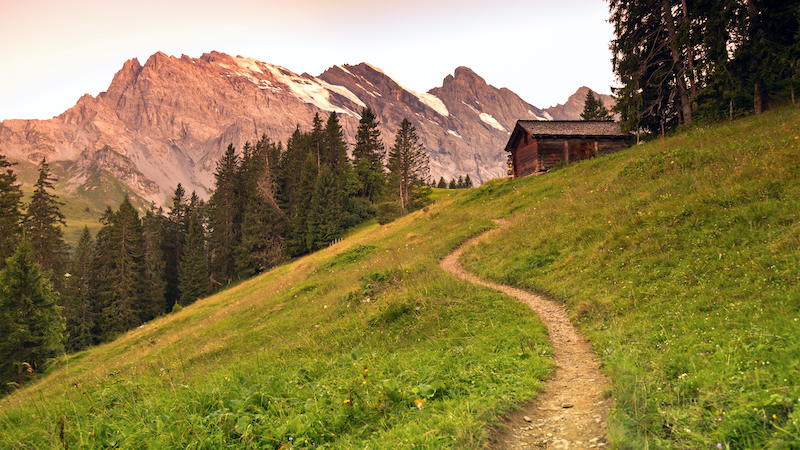 A winding path in Switzerland's Berner Oberland region. For article, Travel to the Swiss Alps in Search of Edelweiss