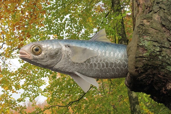 A fish out of water sculpture.