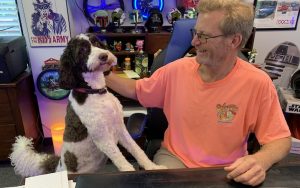 Leeloo at work with his dad, for Take Your Dog to Work Day Image