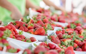 baskets of juicy red strawberries. What's Booming: Ships Ahoy, Berries and Joy, June 9-15, 2022. This week has us waxing lyrical. We bet it will do the same for you. Image