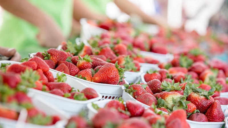 baskets of juicy red strawberries. What's Booming: Ships Ahoy, Berries and Joy, June 9-15, 2022. This week has us waxing lyrical. We bet it will do the same for you.