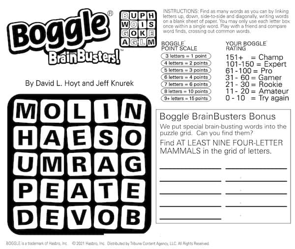 Boggle BrainBusters mammal search puzzle - find the hidden words