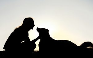 girl and dog silhouette Photo by Christinlola Dreamstime. Julia Nunnally Duncan shares her nostalgic poem, “True Friend,” with Boomer readers. Her 1960s sentiment touches all who have loved a dog. Image