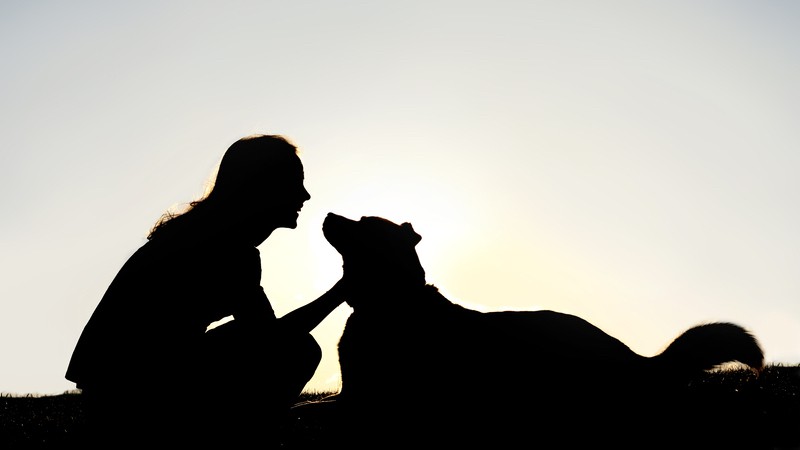 girl and dog silhouette Photo by Christinlola Dreamstime. Julia Nunnally Duncan shares her nostalgic poem, “True Friend,” with Boomer readers. Her 1960s sentiment touches all who have loved a dog. Image