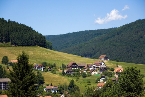 Germany's Black Forest. Photo by Moniphoto, Dreamstime