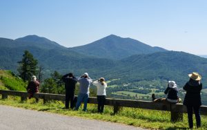 bird watching the annual hawk migration along the Blue Ridge Parkway. Larry Metayer, Dreamstime. Writer Martha Steger shares experiences as a newbie birder and offers benefits and birdwatching tips to help during the season for birding. Image