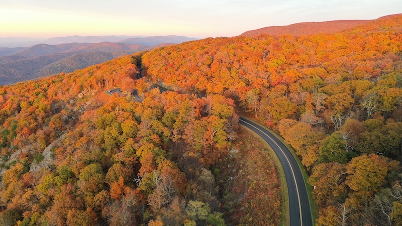 A scenic autumn view of the Blue Ridge Parkway as it winds through Botetourt County, a perfect way to savor fall in the Blue Ridge Mountains. CREDIT: Virginia Tourism Corporation.