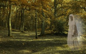 ghost in the forest nikki zalewski, Dreamstime. For What's Booming: Unhappy Hour to a happy day in the woods Image