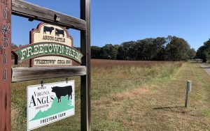 The sign marking the location of the old Freetown community, which will be the site of the new historic marker and part of the Edna Lewis Menu Trail. Image