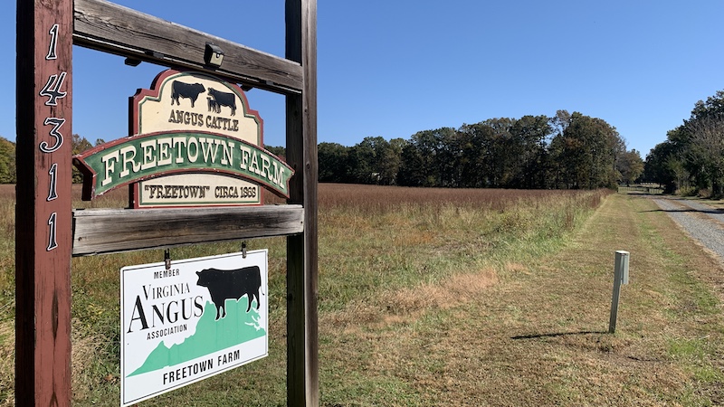 The sign marking the location of the old Freetown community, which will be the site of the new historic marker and part of the Edna Lewis Menu Trail.