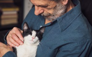 man petting cat Saletomic Dreamstime. For article on keeping an indoor cat happy Image