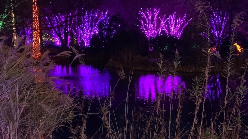 From Lewis Ginter GardenFest for What's Booming: Light Up Your Life Image
