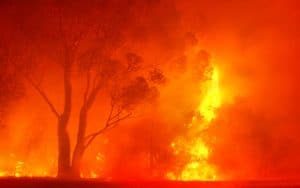 a forest fire at night. Image by Photosky. Noticing the increase in the number, severity, and consequences of forest fires, author Wesley Shennan researched the issue and was sobered by what he discovered. Image