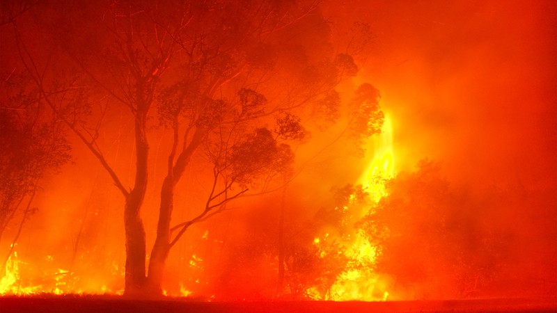 a forest fire at night. Image by Photosky. Noticing the increase in the number, severity, and consequences of forest fires, author Wesley Shennan researched the issue and was sobered by what he discovered.