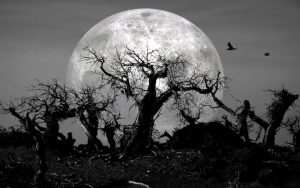 creepy forest of leafless trees with full moon on the horizon. Events in Richmond, Virginia, beginning January 12: Poe's birthday, Jim Gaffigan's comedy, and thought-provoking visual and performing arts. Image