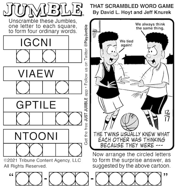 Classic Jumble puzzle as part of Boomer's Dolphin and Twins puzzle for kids and adults