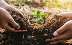 young and old hands gently planting a seedling. From Lovelyday12. Earth Day reminds us to care for our planet, for ourselves and future generations. We are still learning, 50 years after the first Earth Day. Image