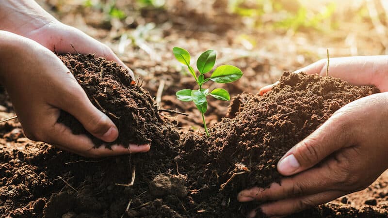 young and old hands gently planting a seedling. From Lovelyday12. Earth Day reminds us to care for our planet, for ourselves and future generations. We are still learning, 50 years after the first Earth Day. Image