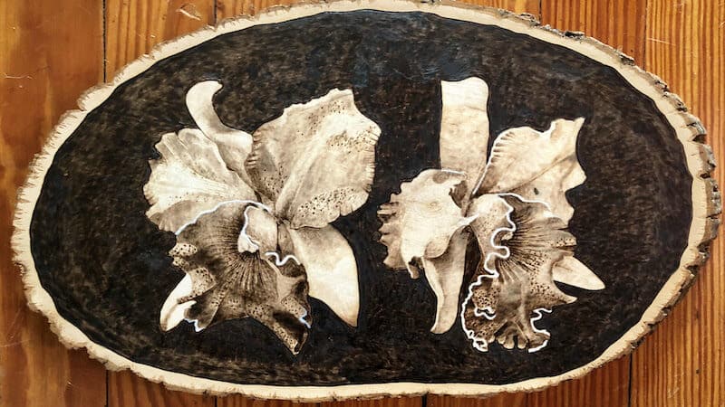 From Flowering Embers, part of the Glen Allen Cultural Center exhibition in What's Booming for May 18 to 25 Image