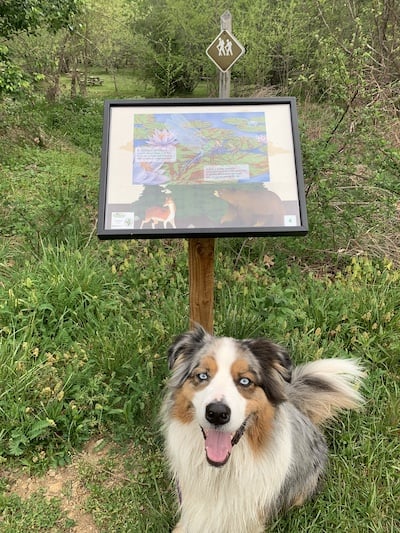 Rockfish River Trail nature sign with Newt in the foreground.