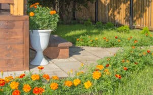 backyard with paved walkway, marigolds, gazebo, fence. By Clairelucia. When it comes to outdoor space, you can improve the value of your home with proper use of the area. Try these seven ideas for your home. Image
