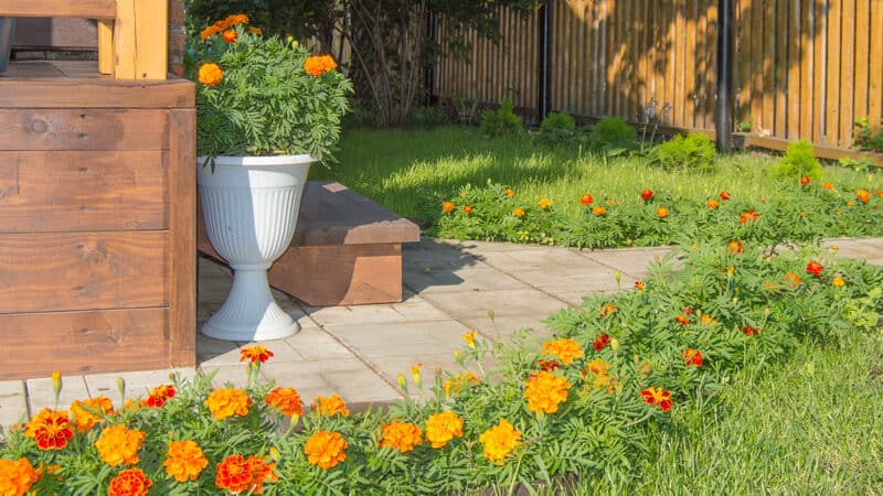 backyard with paved walkway, marigolds, gazebo, fence. By Clairelucia. When it comes to outdoor space, you can improve the value of your home with proper use of the area. Try these seven ideas for your home. Image