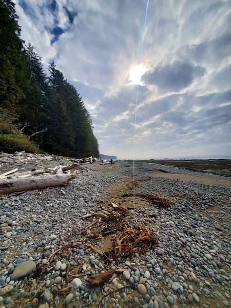The shoreline along a portion of the West Coast Trail on Vancouver Island in Canada, from hiker Lisa Olivier.