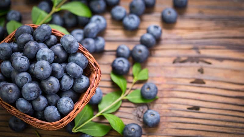 Blueberries fill fields, produce stands, and delicious treats during the summer. Use these ideas and recipes to make the most of the season.