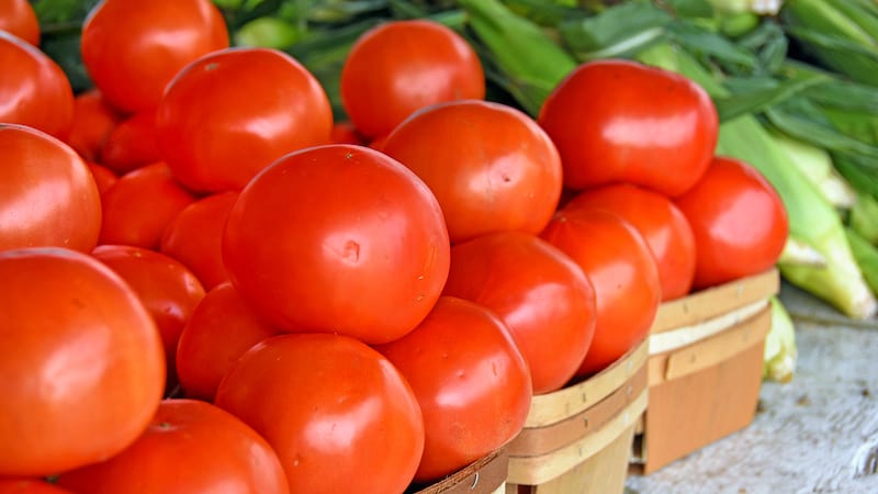 fresh tomatoes and corn at a farmers market produce stand, from Maria Dryfhout. Summer vegetables at farmers markets offer tasty benefits. Use these tips for picking and storing corn, cucumbers, tomatoes and zucchini.