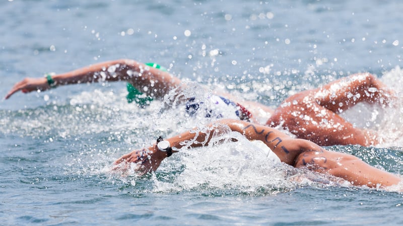 open water swimmers during a triathlon, from Eduardo Gonzalez. Weight loss, new diet, fitting into his old swimsuit, a 4.4-mile swim across the Chesapeake Bay: 81-year-old open-water swimmer did it all.