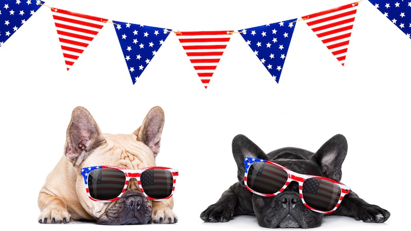 patriotic dogs, by Damedeeso, used for What's Booming, June 29 +