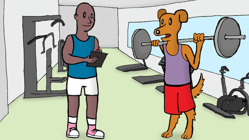 A dog in a gym talking to his trainer. Think you’re funny? Enter our contest and pit your wits against others or see the winners in Boomer’s Name That Caption August 2023