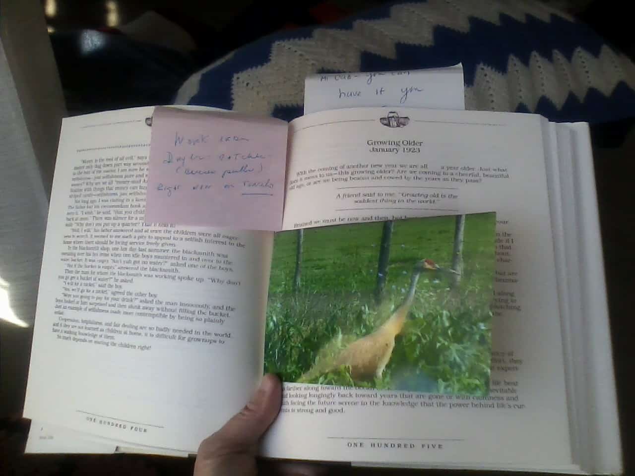 A book open, also showing a picture of a crane and a handwritten note. From Doreen Mary Frick