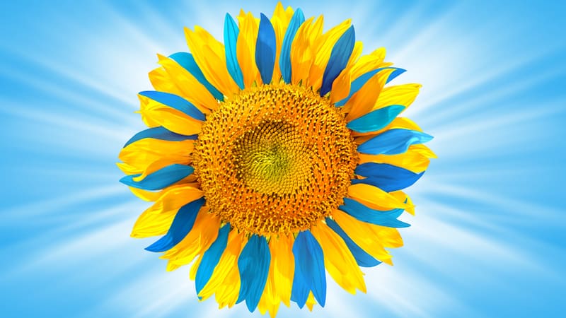ukrainian sunflower, image by Vvlukas. What’s Booming RVA: Ukrainian Benefit and Aliens