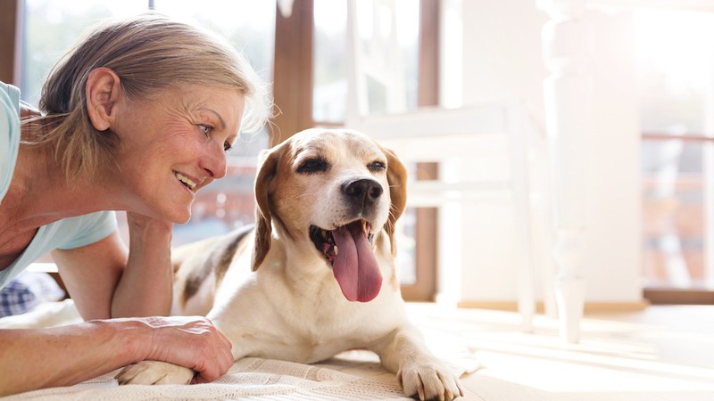 woman and dog, happy, on the floor. By Pojoslaw. Article on how pets talk to us and think.